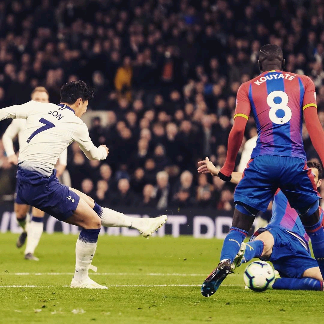 他不僅是一 他不僅是一